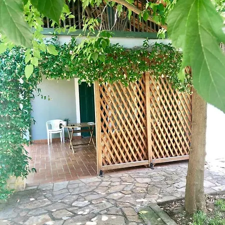 Cozy With Garden Casa de Férias